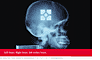 Job-Seeker Brain Graphic